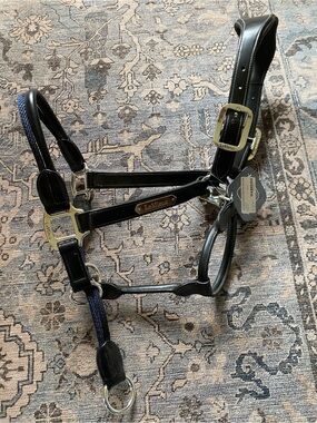 Lemieux Leather control Horse Halter